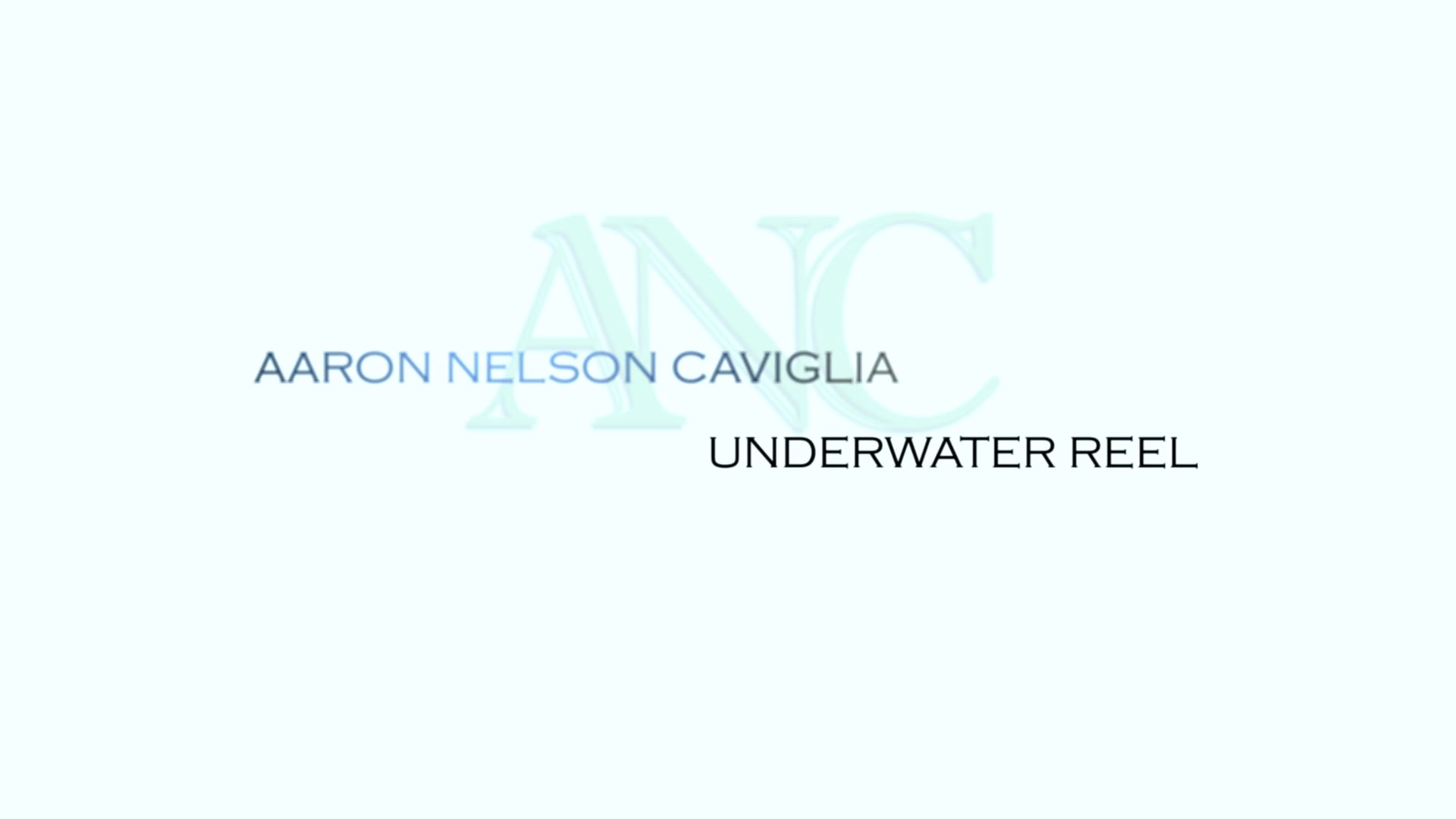 Underwater Camera REEL 2017