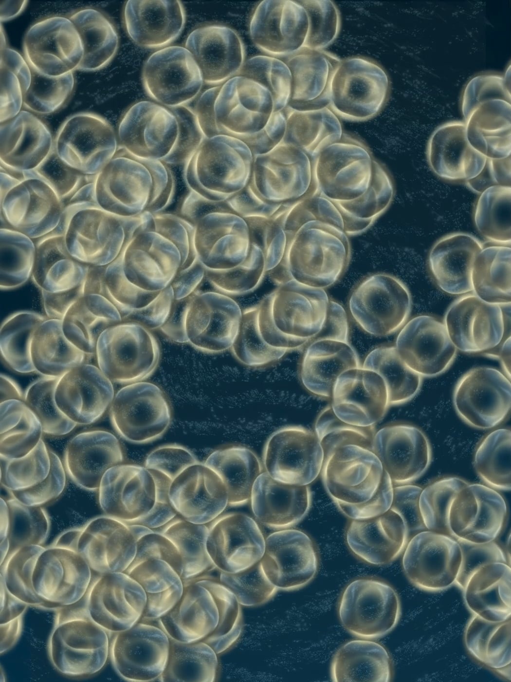 2014 Kölner Philharmonie "Ligeti Clocks and Clouds" (Produktion) on Vimeo