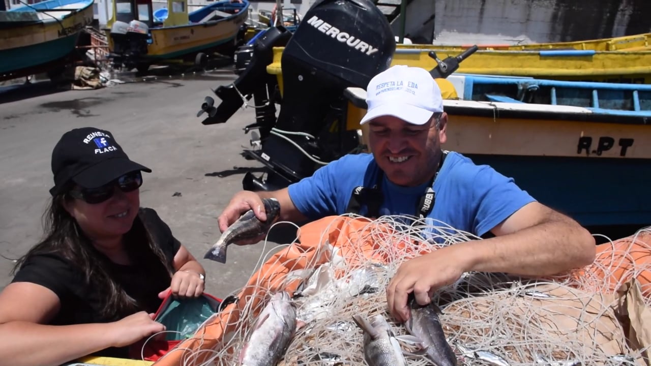 Aquí Hay Pescado