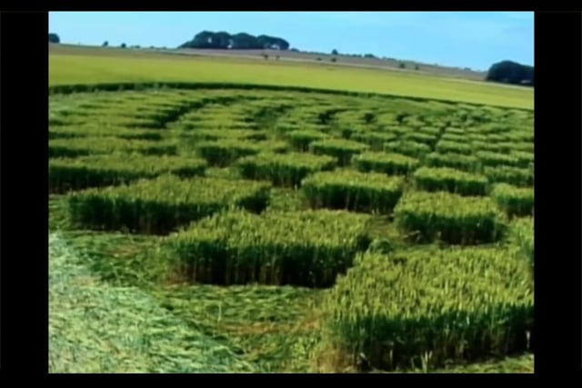 What Unbelievers Say About Crop Circles.