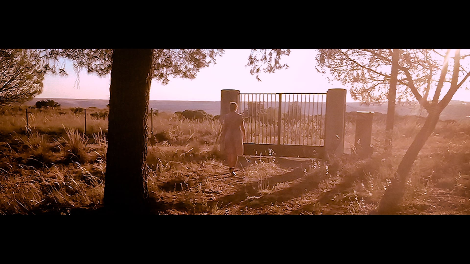 ESTELA_200 PASOS - TÉASER