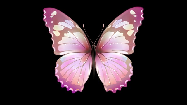 500+ Free Butterfly Stock Videos - Pixabay - Pixabay