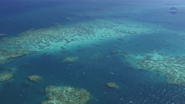 ScienceCasts: A New View of Coral Reefs