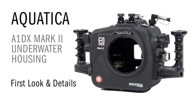 Aquatica A1DXII Underwater Housing - First Look & Details