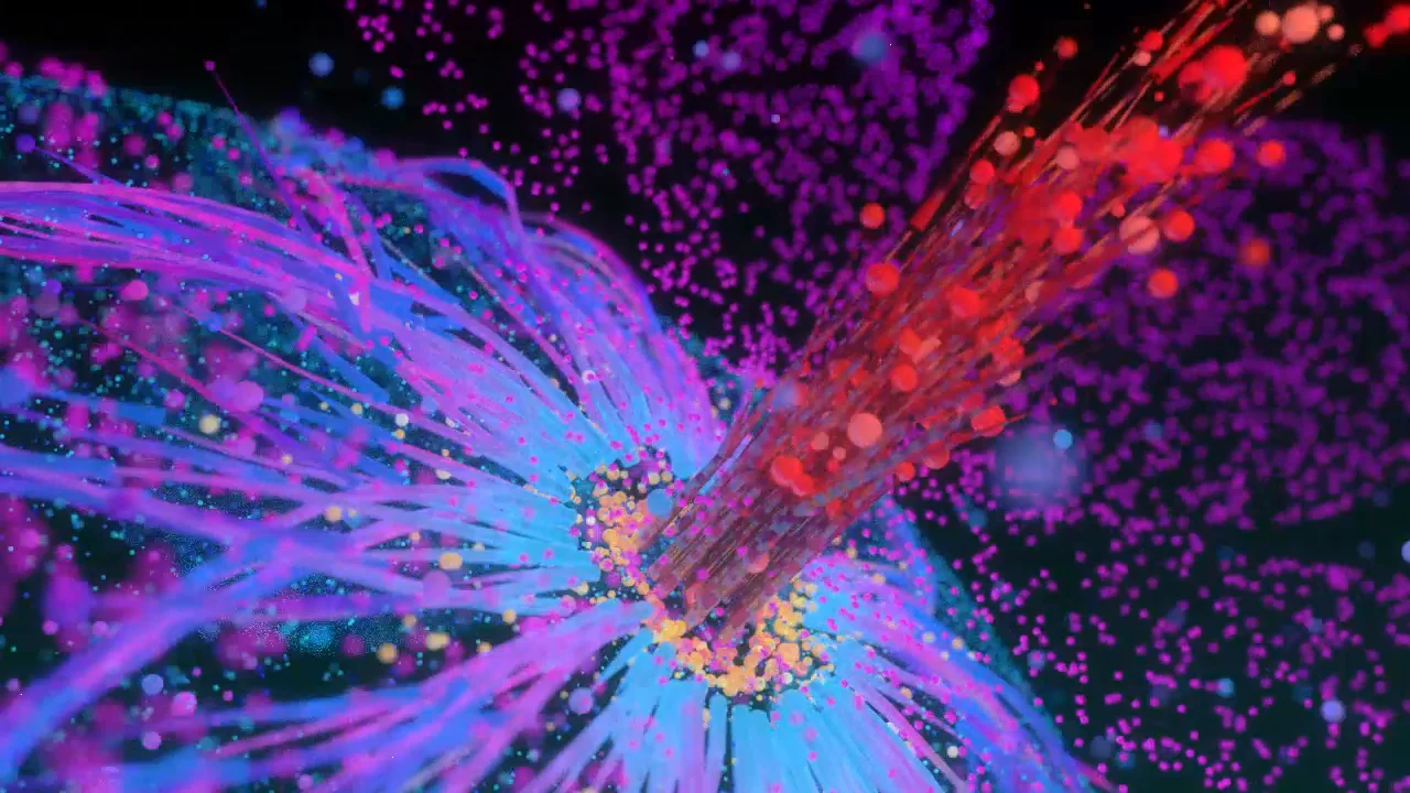 Flower on Vimeo