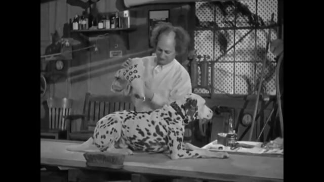The Three Stooges - 035 - Mutts To You (1938)