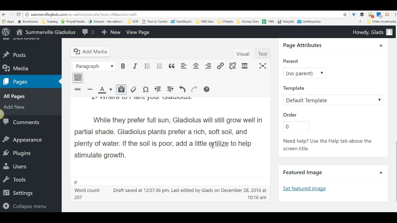WordPress 1 on Vimeo