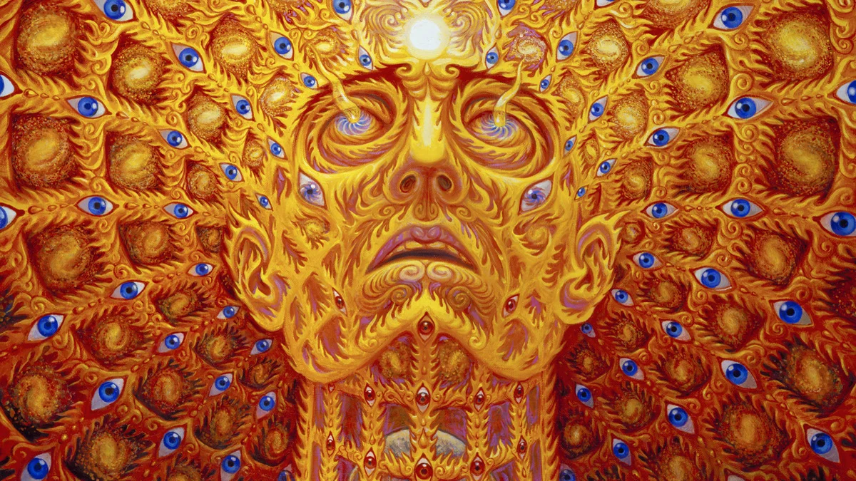 Transfigurations: Art, Consciousness, and Spirituality (Alex Grey, Allyson Grey, and Ken Wilber)