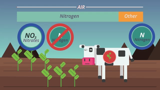 The Nitrogen Cycle - Chemistry for All - FuseSchool - YouTube