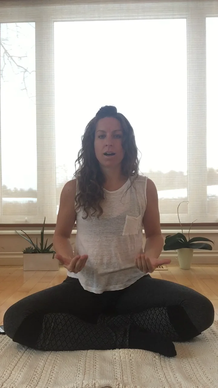 emBODY freedom Module 3 meditation on Vimeo