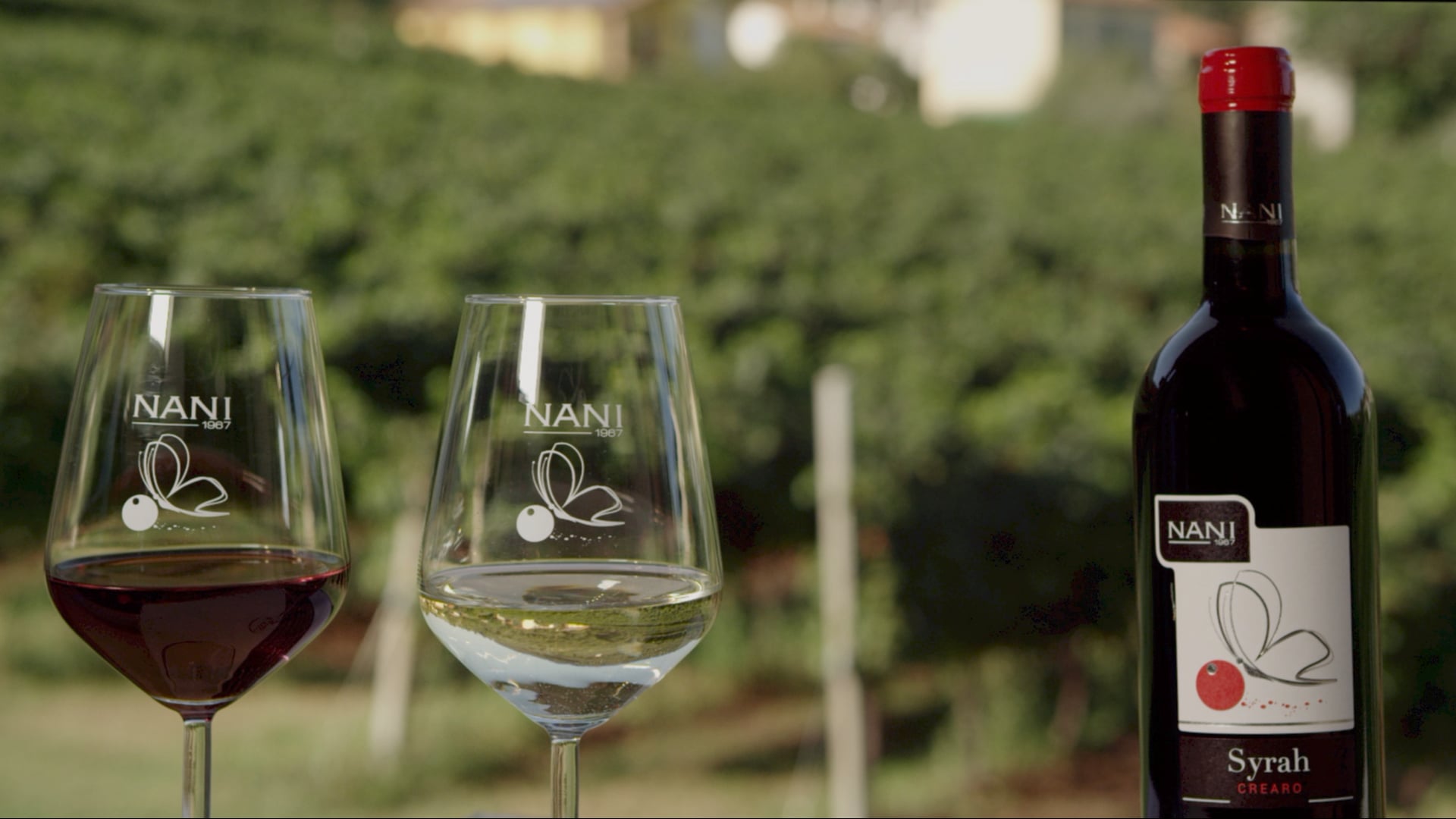 VINI NANI 1967