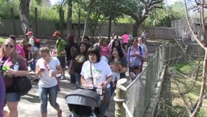 Zoo has Record Attendance 2nd Year in a Row