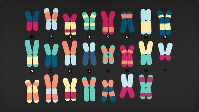 Fundamental & Basic Unit of Life - DNA Heredity