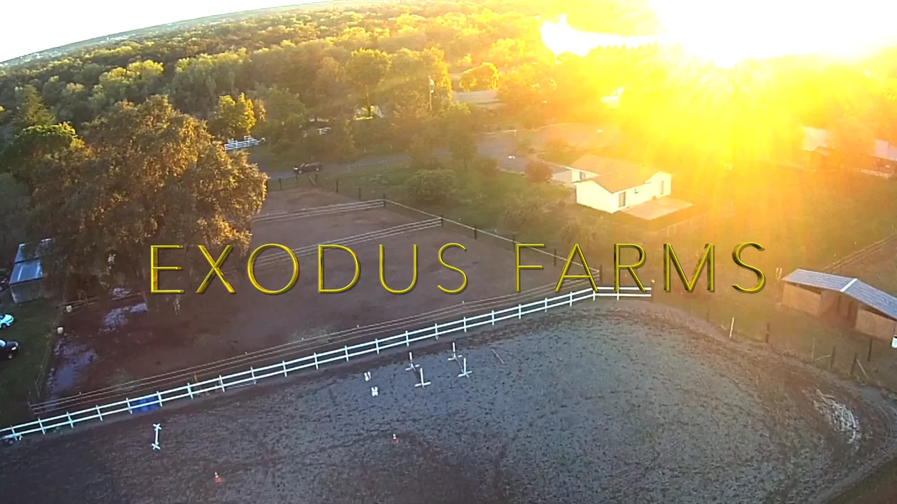 Exodus Farms Documentary