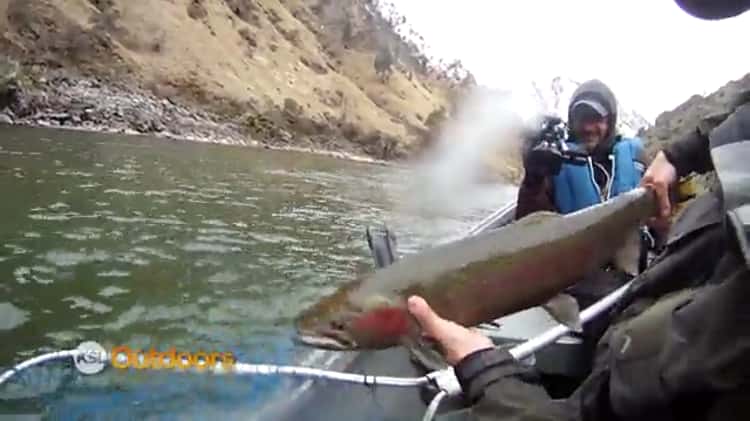 Idaho Steelhead Fishing Tips and Tequniques with MRO on the Salmon River on  Vimeo