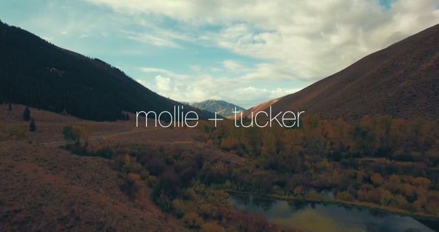Mollie + Tucker : Wedding