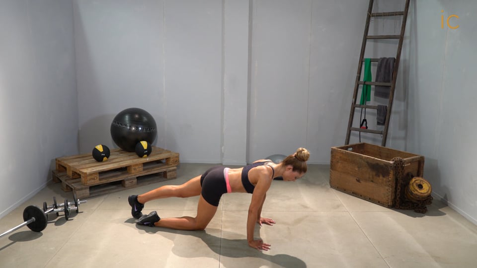 Plancha Frontal Dinámica