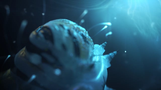 rising - 3d animation