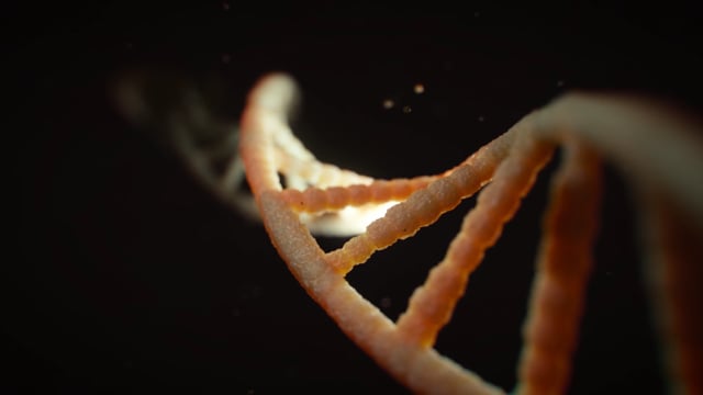 300+ Free Biology & Science Videos, HD & 4K Clips - Pixabay