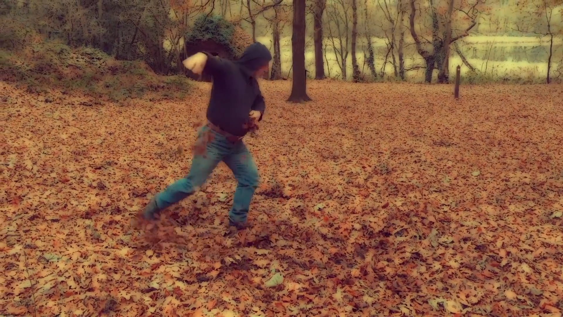 Wave in the Woods