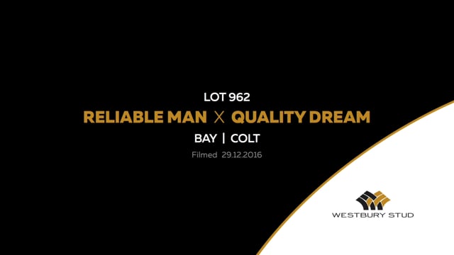 Lot 962