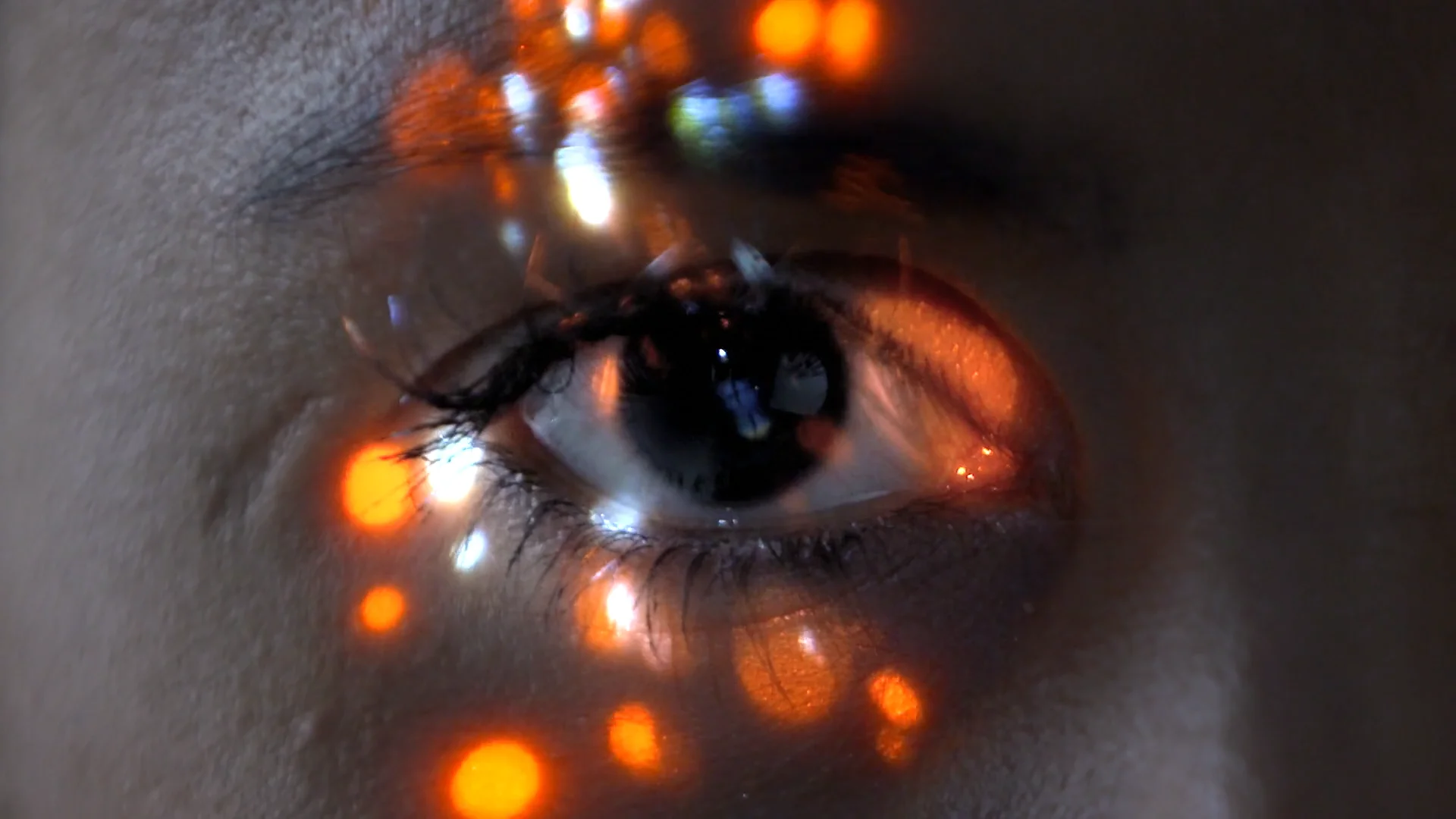 Swiss Expologistics Team