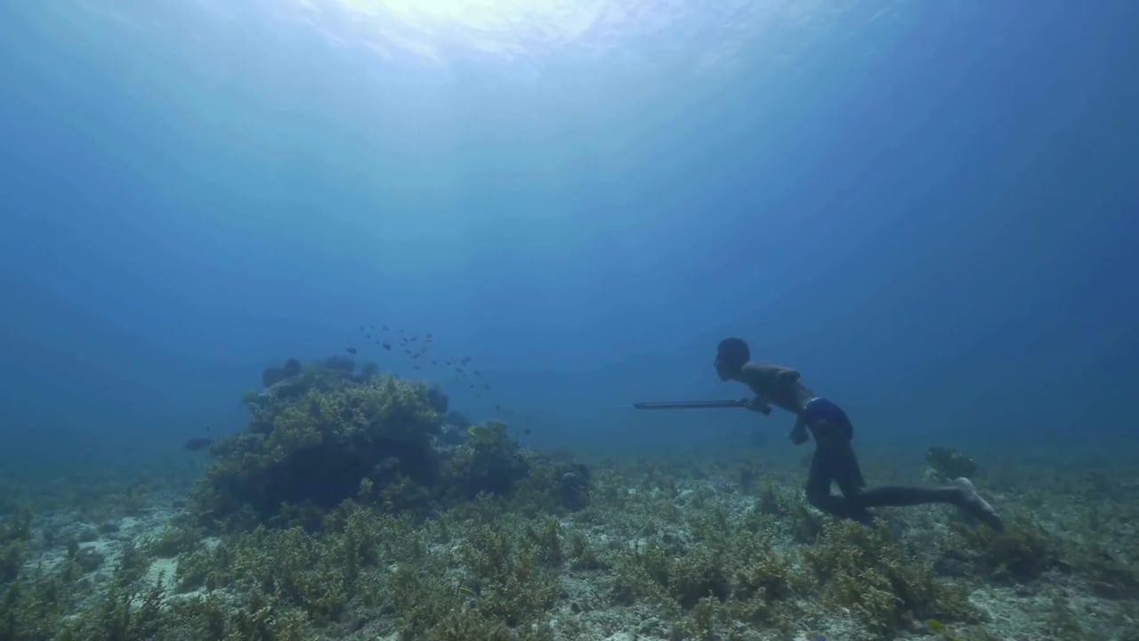 Extraits : Le climat, les hommes et la mer
