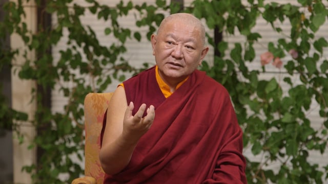 Confusion Arises as Wisdom