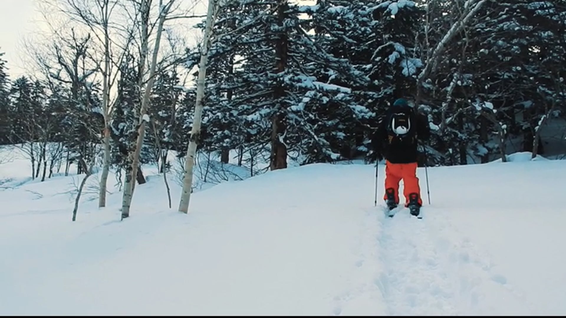 SankjuPowder edit from Hokkaido 2016