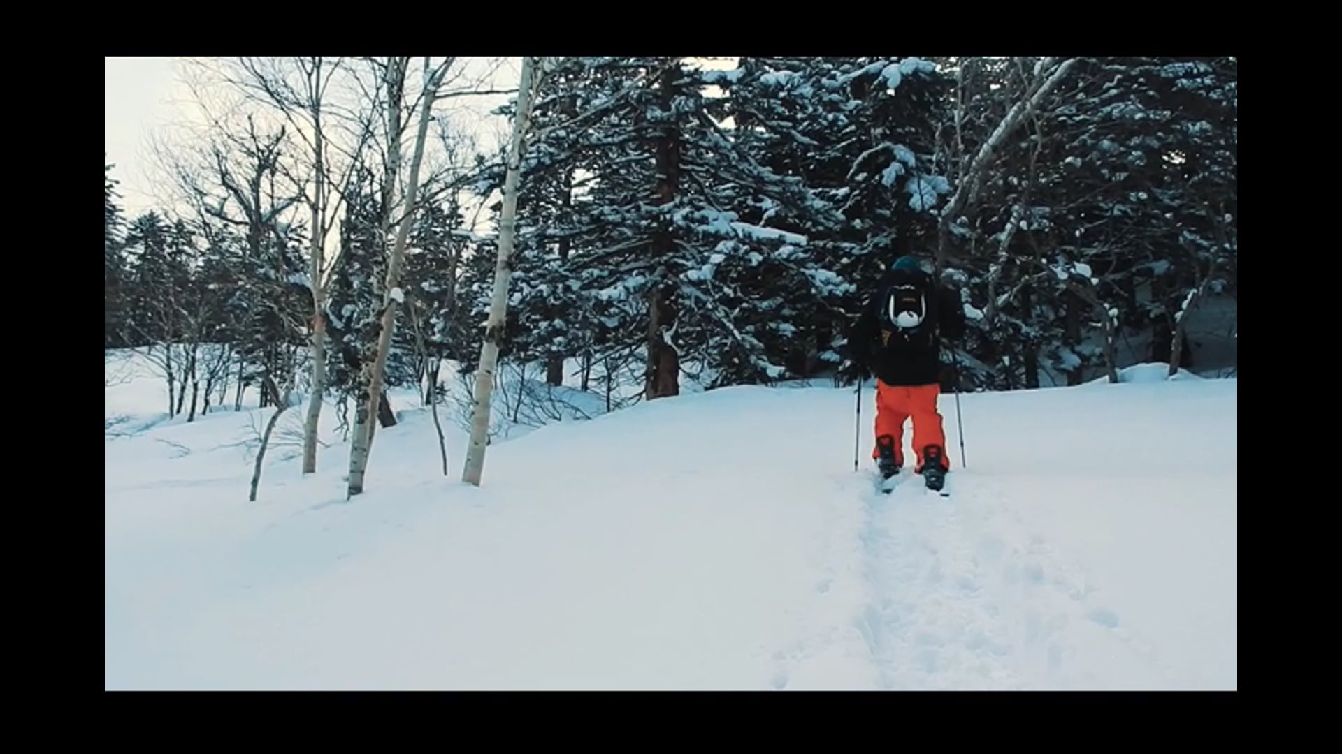 SankjuPowder edit from Hokkaido 2016