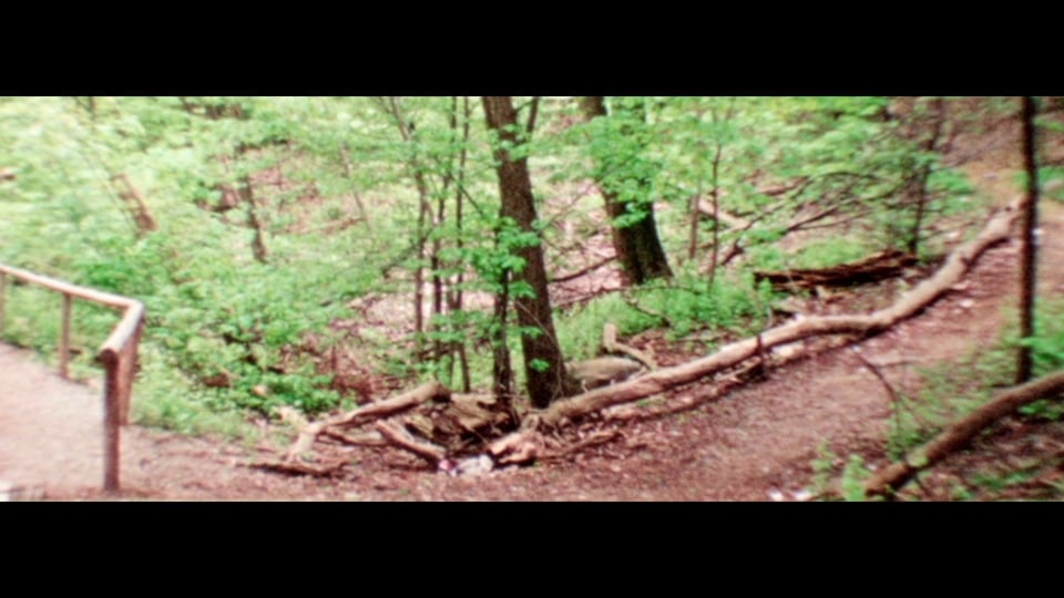 Ravine