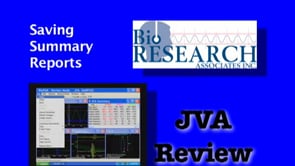 JVA Review - Saving Summary Reports