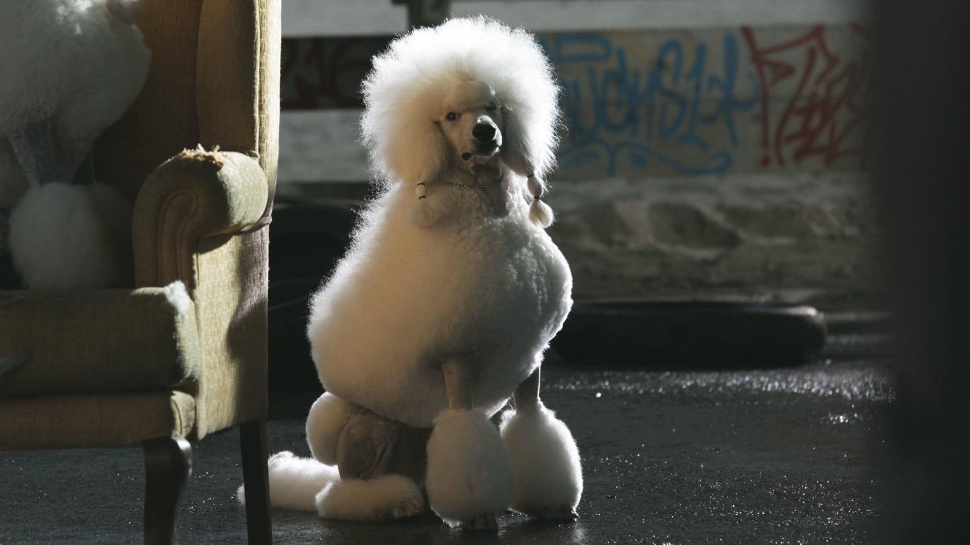 Google Pixel - Badass Poodle