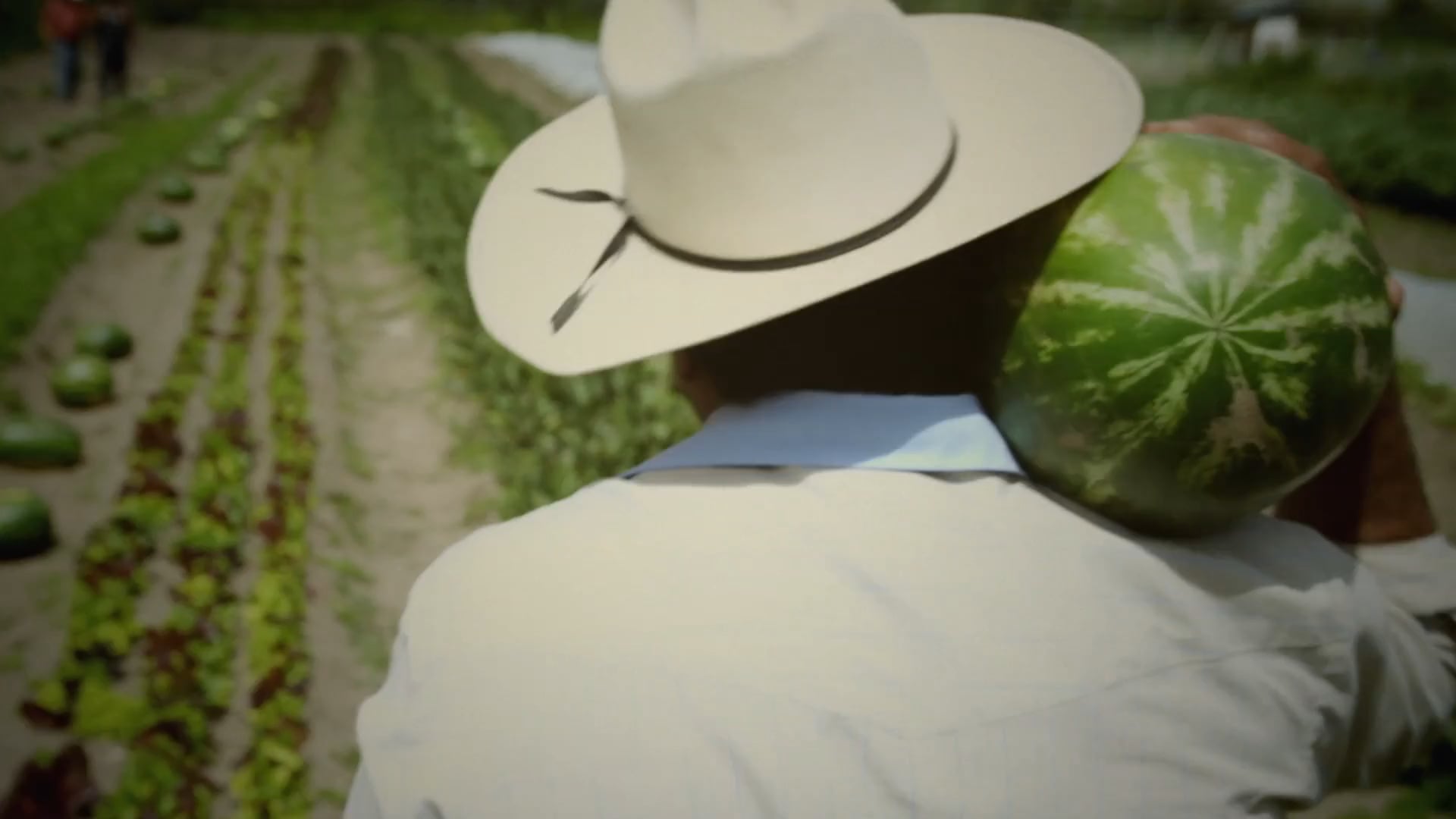 D.Willz: "Watermelon"