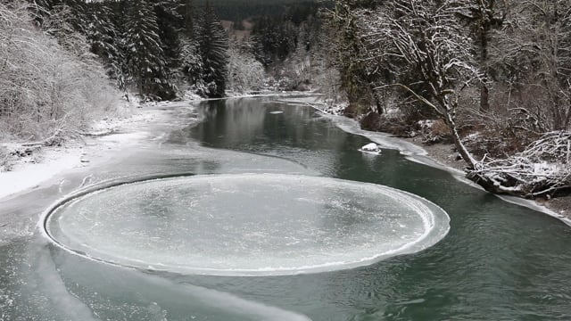 perfect circle in nature