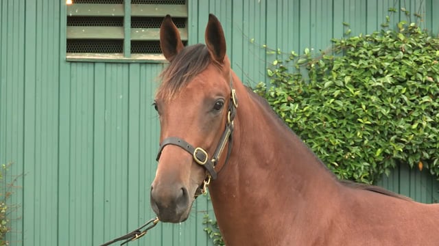 Lot 939