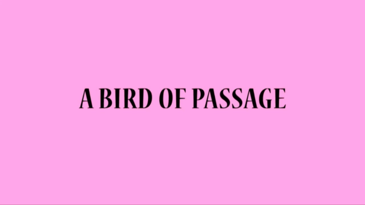 a-bird-of-passage-on-vimeo