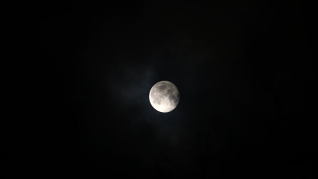 Moon, Moonlight, Night, Full Moon