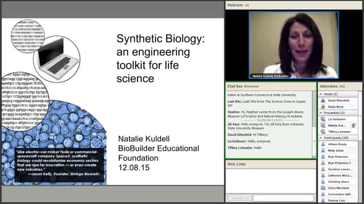Online Workshop: Activities and Conversations about Synthetic