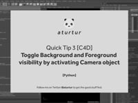 Python to toggle camera visibility