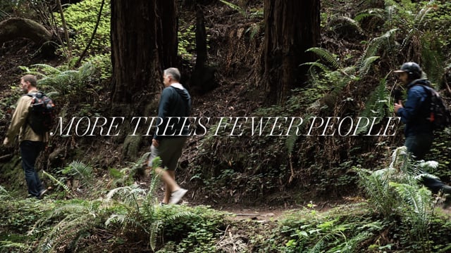 More trees fewer people
