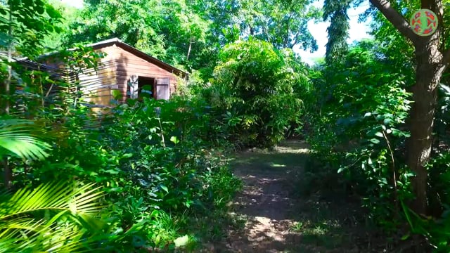 Le bungalow sous les oliviers