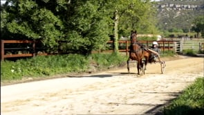 Boiorix, racing for hope