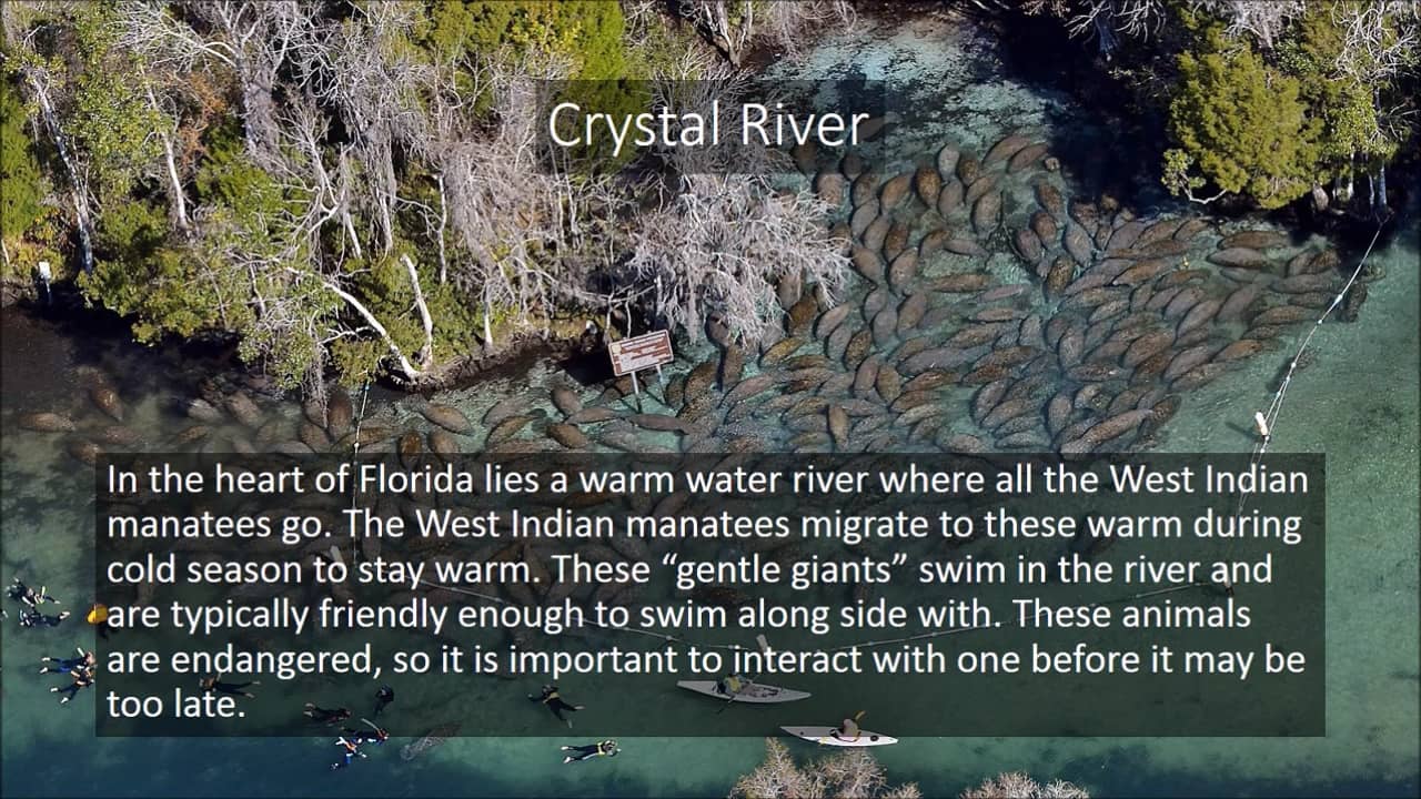 Appleseed Expeditions on Vimeo