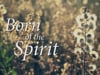 Born of the Spirit, Led by the Spirit for Fifty Years