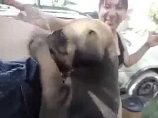A Woman Breastfeeding A Puppy