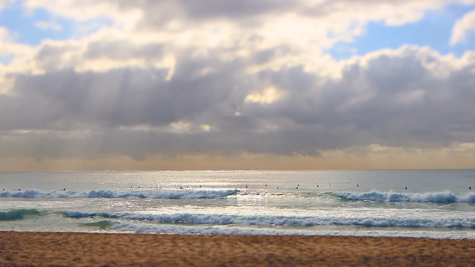 デザイン】Jonas Claesson – Animals Pedal