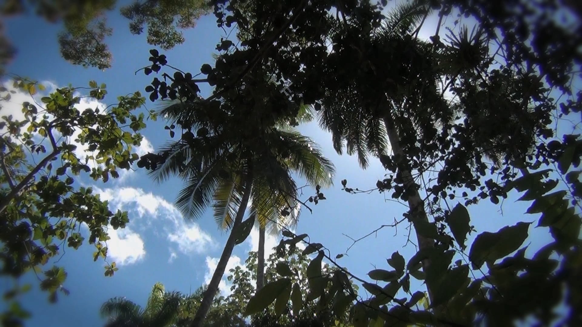 Cuba turistfilm