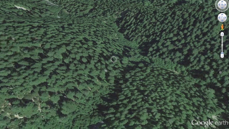 Tracking Sasquatch (field report #4)