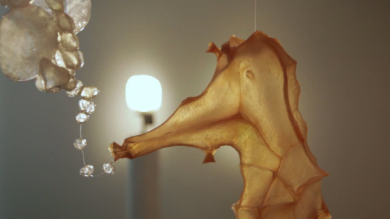 The head of a seahorse-like creature made of light penetrable paper.